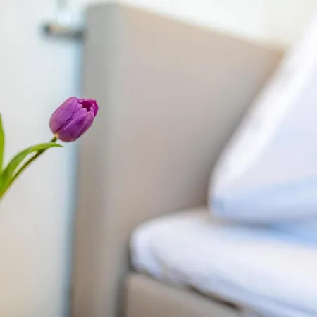 Apartment Treibgut Olpenitz